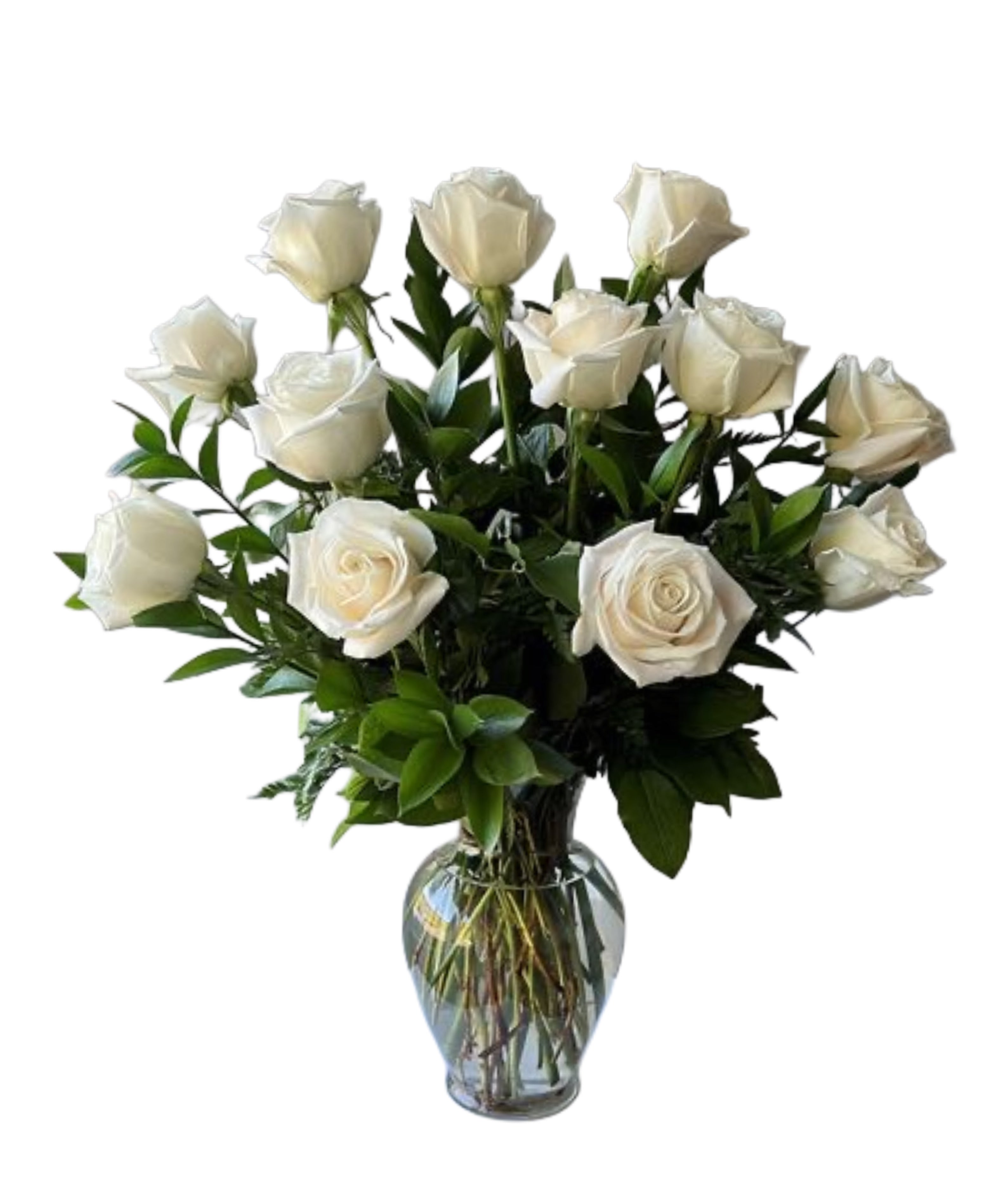 12 White Roses Vase