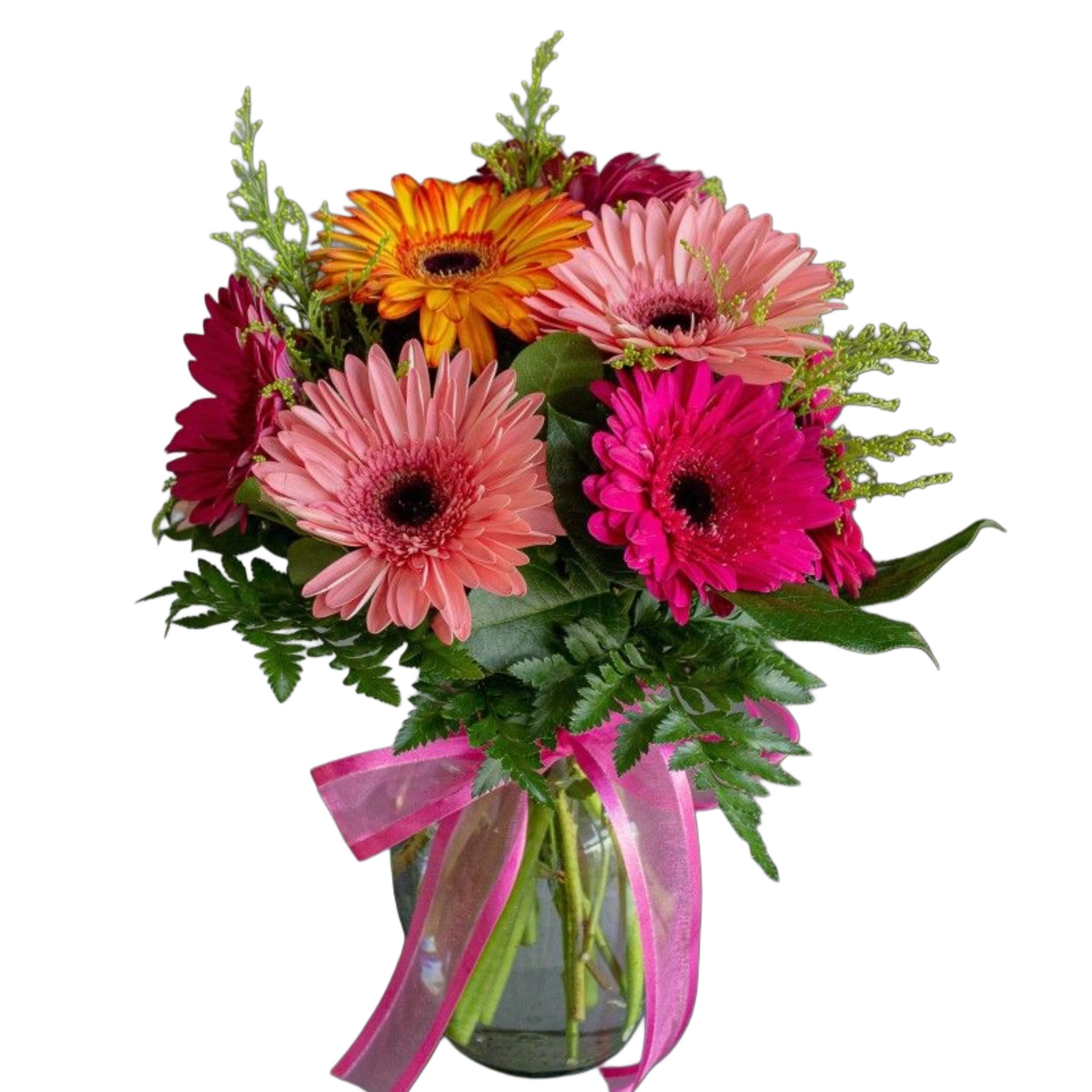 Colorful Gerbera Base