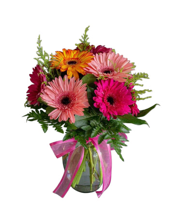 Colorful Gerbera Base